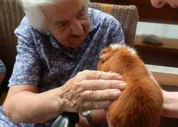 Návštívilo nás morče