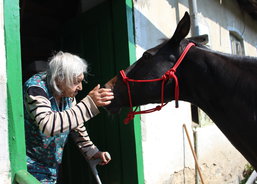 Koňosetkání 8_2019