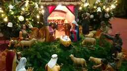 TŘÍKRÁLOVÁ SBÍRKA 2021 v kostele sv. Markéty ve Strakonicích