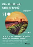 10_stripky_kroku_poster