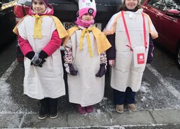 Ptákovická Strakonice 4. 1. 