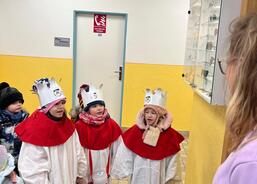 DS Volyňka Strakonice