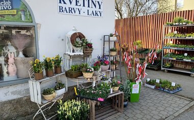 Květinářství Katovice