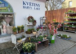 Květinářství Katovice