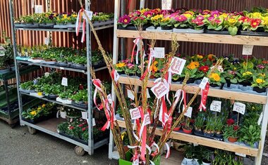 Květinářství Katovice