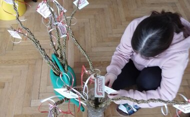 ZŠ F. L. Čelakovského Strakonice