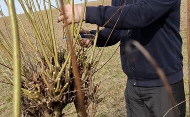 Martin Hubený - zakladatel projektu