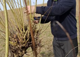 Martin Hubený - zakladatel projektu